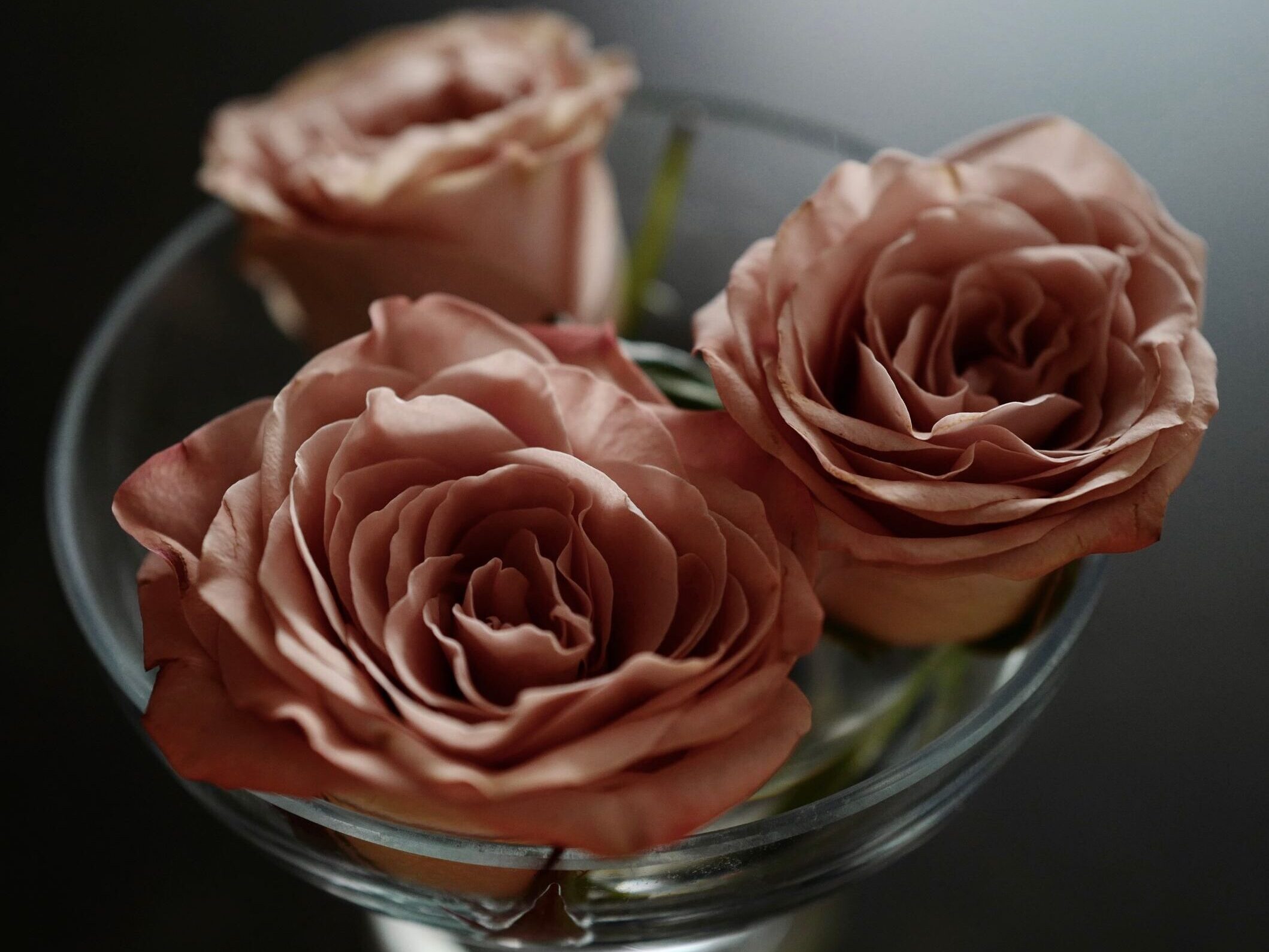 Close-up of elegant peach roses in a glass vase with blurred background.
